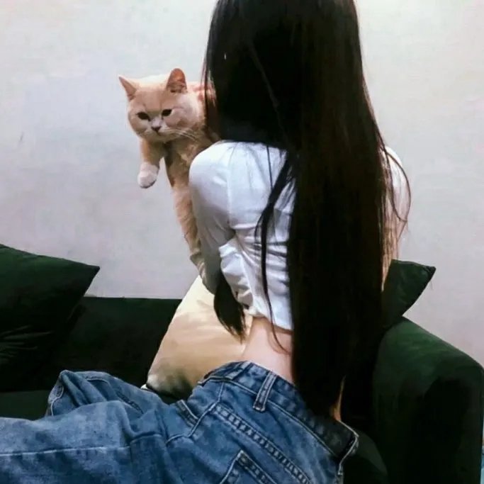 泡影昙花